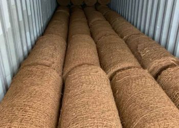 coir-logs-container-load-ruhunu-coir-suppliers